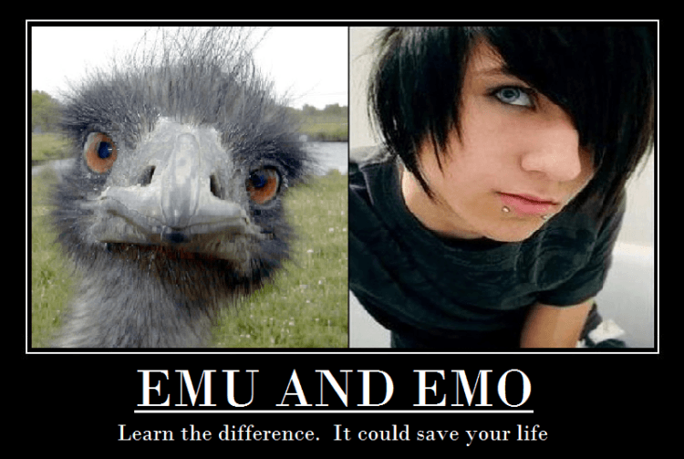 Emu dan Emo~~