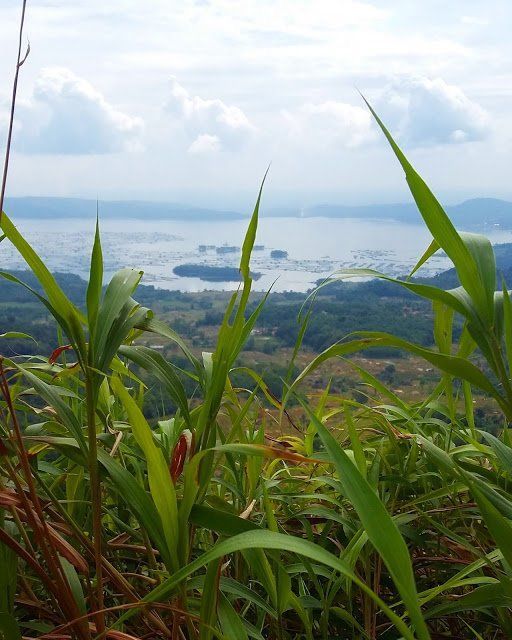 Via Ferrata Pertama di Indonesia yang Ada di Purwakarta