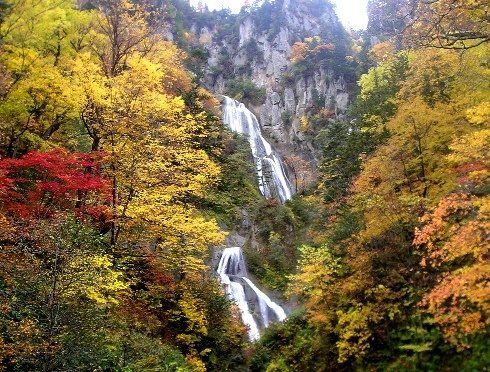 8 Tempat Menarik yang Wajib Kamu Kunjungi di Higashikawa - Hokkaido!