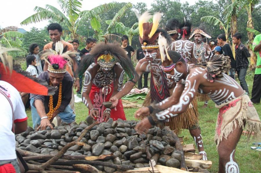 Upacara Bakar Batu dari Papua, Unik dan Menarik