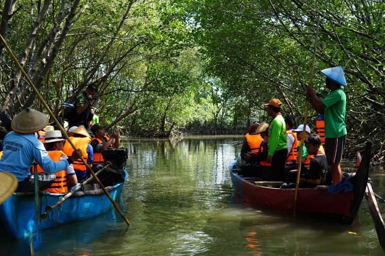 Hutan-hutan Mangrove yang Bisa Jadi Destinasi Wisatamu, Yuk Intip!