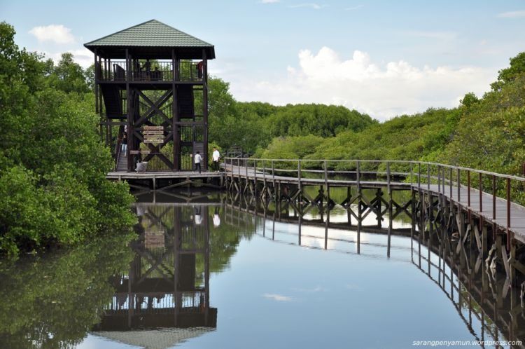 Kawasan Wisata Mangrove