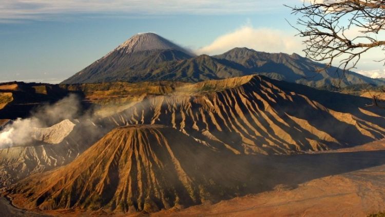 Makanan Khas Jawa Timur Ini Bakalan Bikin Kamu Ngiler…