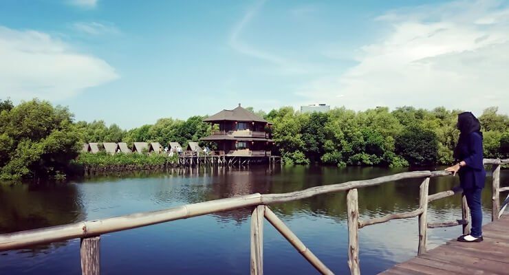 Hutan-hutan Mangrove yang Bisa Jadi Destinasi Wisatamu, Yuk Intip!