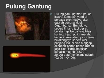 kenalan dulu yuk sama si pulung gantung