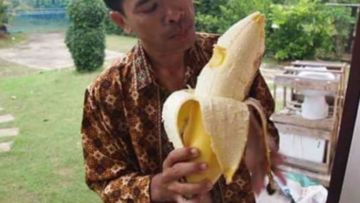 Udah Pernah Liat Pisang Raksasa dari Papua Belum? Yakin Deh Pisangmu Bakal Kalah Gede!