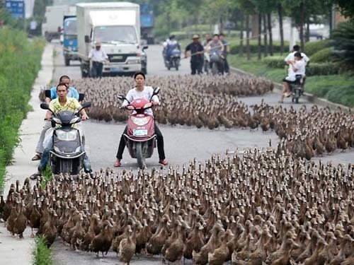 Kecelakaan di Jalan Memang Mengenaskan. Tapi Kalau 7 Kejadian Ajaib Ini Terjadi, Apa Nggak Mencengangkan?