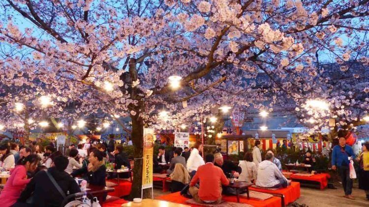 Maruyama Park, Kyoto.