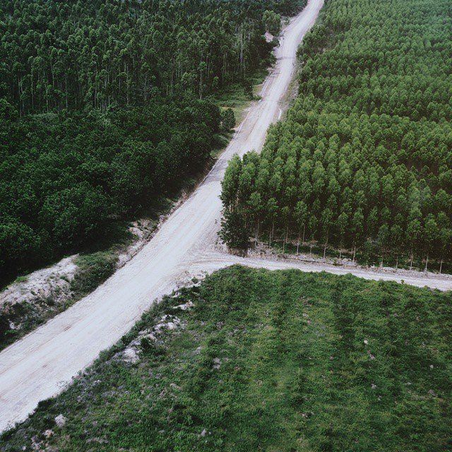 Distrik dengan hutan 