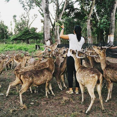 Biar Liburanmu Lebih Cetar, Ini Dia 9 Tempat Wisata Seru yang Ada di Blitar!