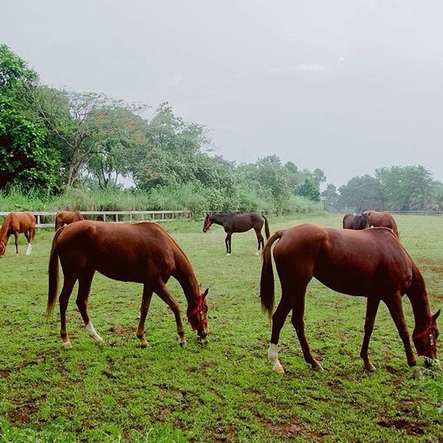 Wisata di Depok