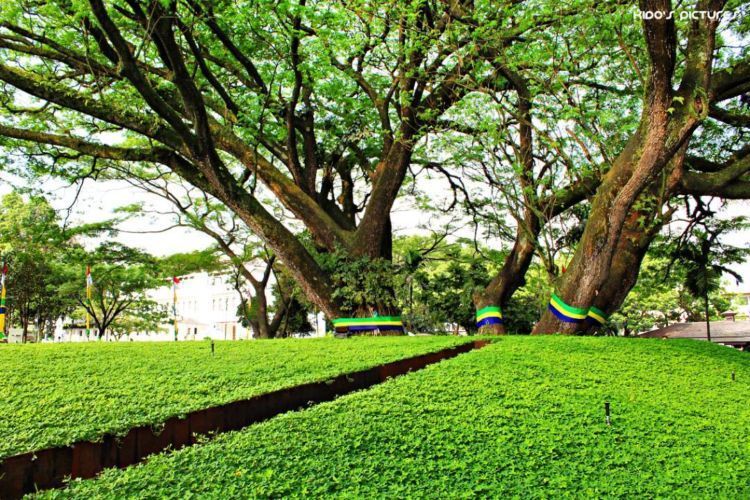 Ini dia taman labirin balikota Bandung