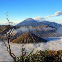 Cek Seberapa Pintar Kamu Dari 10 Pertanyaan yang Indonesia Banget!