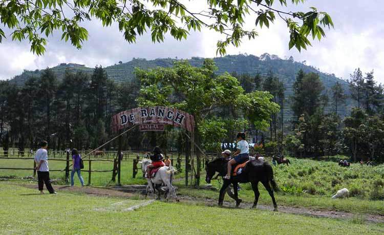 Tempat Wisata Yang Menarik Wisatawan di Lembang, Bandung