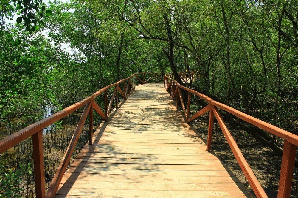 Nggak Melulu Pantai, 6 Destinasi Ciamik Ini Wajib Kamu Kunjungi Saat Bertandang ke Pangandaran