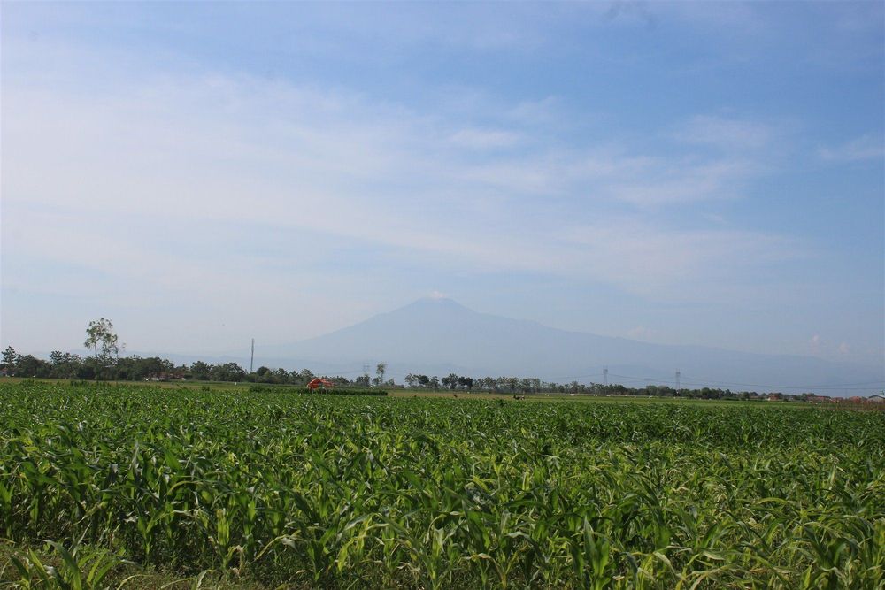 Selain Ngapak dan Inyong, 5 Alasan Ini Mengharuskanmu Traveling ke Tegal