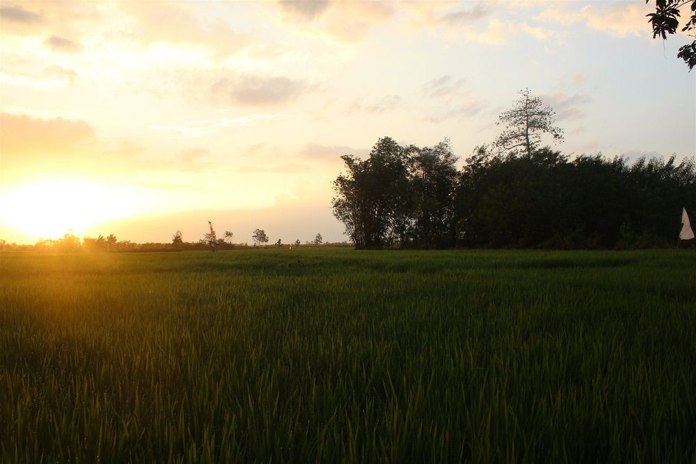 Selain Ngapak dan Inyong, 5 Alasan Ini Mengharuskanmu Traveling ke Tegal