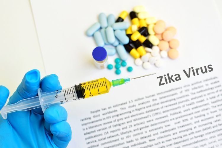 Hingga saat ini belum ada obat untuk menangani Virus Zika