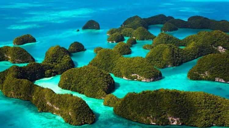 Masih Nggak Tertarik dengan Raja Ampat? Pikir Lagi Deh!