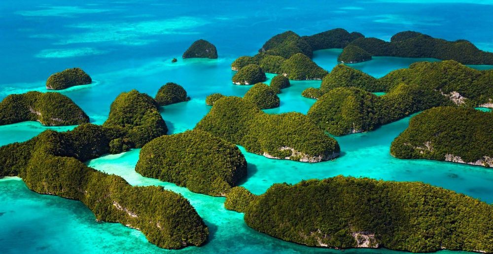 Masih Nggak Tertarik dengan Raja Ampat? Pikir Lagi Deh!