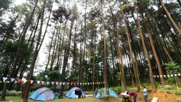 Wisata Alam Gunung Pancar, Hutan Pinus yang Asyik dan Bisa Dikunjungi Bersama Keluarga, Teman Atau Pacar