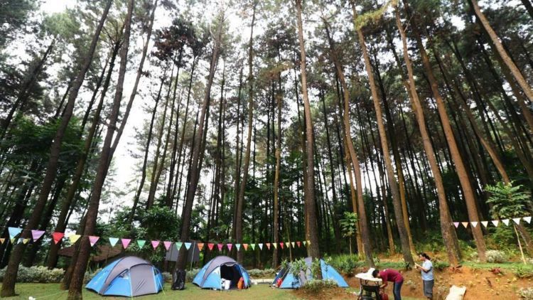 Wisata Alam Gunung Pancar, Hutan Pinus yang Asyik dan Bisa Dikunjungi Bersama Keluarga, Teman Atau Pacar