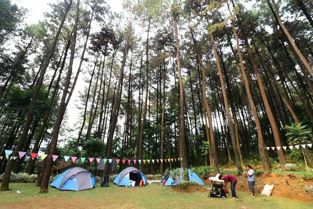 Wisata Alam Gunung Pancar, Hutan Pinus yang Asyik dan Bisa Dikunjungi Bersama Keluarga, Teman Atau Pacar