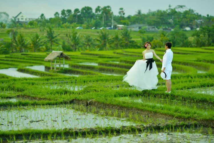 Jatiluwih Tabanan Bali