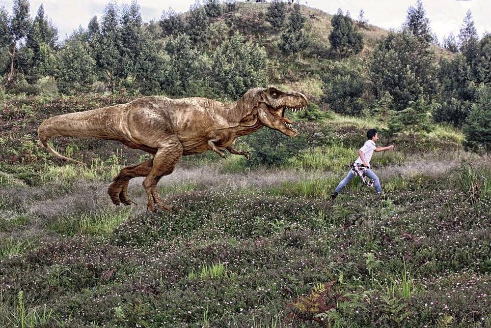 Biar Nggak Stress, Yuk Liat Foto-Foto Ini. Foto Parodi Gunung Ini Bakal Bikin Pikiranmu Segar Kembali