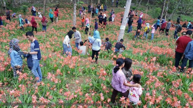 Semua ini demi mendapat pengakuan 'keren' di dunia maya