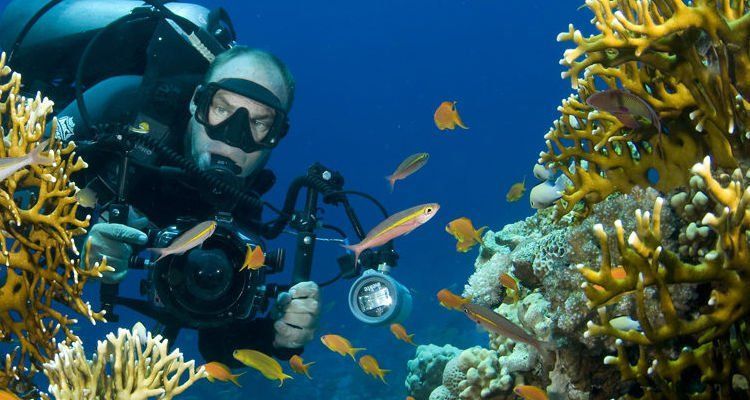 5 Tips Foto Underwater yang Membuat Fotomu Menjadi Mengagumkan!