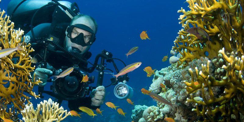 5 Tips Foto Underwater yang Membuat Fotomu Menjadi Mengagumkan!