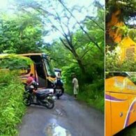 Cerita Mengagetkan Kembali Terdengar Dari Blora. Sebuah Bus Terjebak dalam Hutan Secara Tiba-tiba!