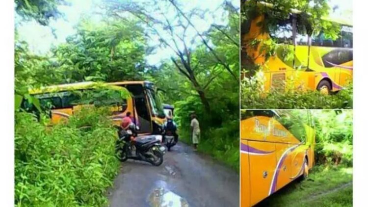 Cerita Mengagetkan Kembali Terdengar Dari Blora. Sebuah Bus Terjebak dalam Hutan Secara Tiba-tiba!