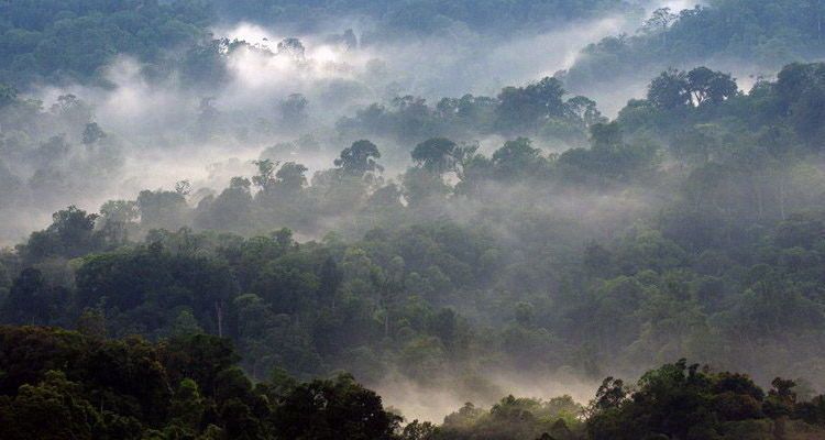 Wisata di Negeri Kabut, Yuk!