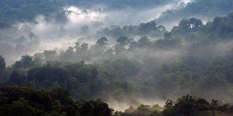 Wisata di Negeri Kabut, Yuk!