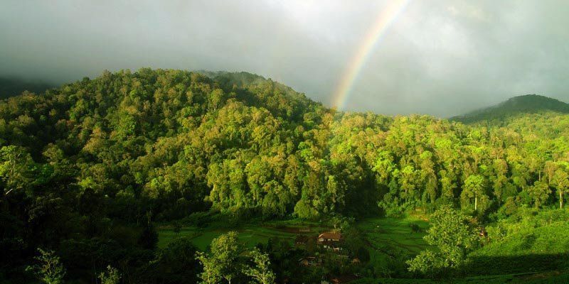 Wisata di Negeri Kabut, Yuk!