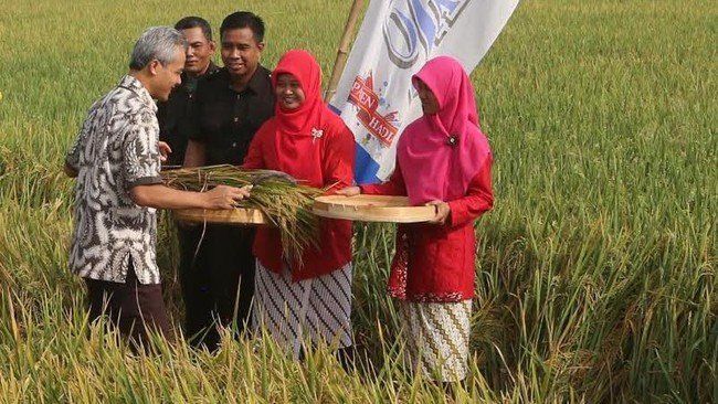 Ganjar, pemimpin yang mau mendengarkan keluhan warganya. 