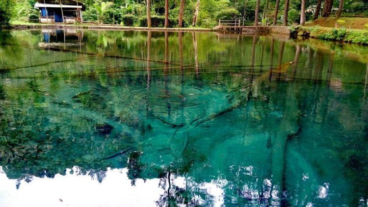 Habiskan Akhir Pekan di Wisata Rambut Monte, Blitar. Cocok Bikin Liburanmu Makin Cetar!