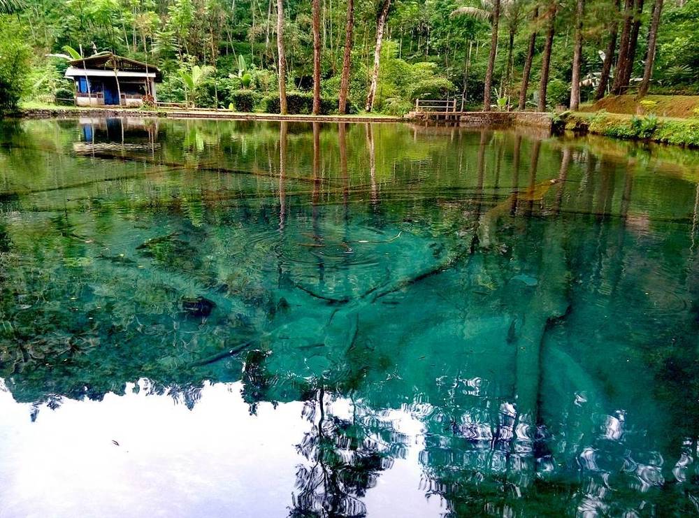 Habiskan Akhir Pekan di Wisata Rambut Monte, Blitar. Cocok Bikin Liburanmu Makin Cetar!