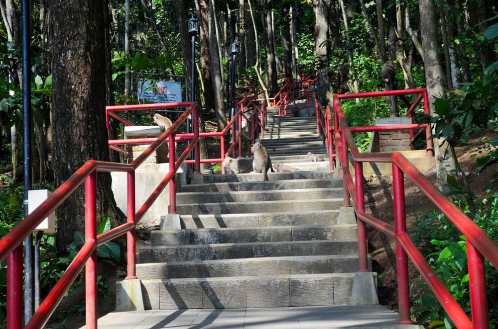 9 Tempat Wisata Hits di Magelang yang Wajib Kamu Kunjungi. Sudah Pernah?