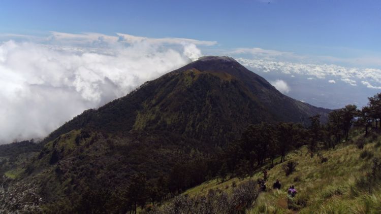 Bisa sekalian mendaki gunung Arjuno yang terkenal dengan keindahnya Puncaknya