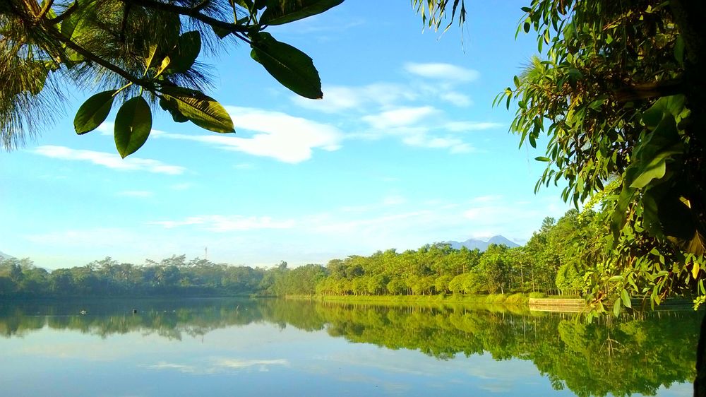 Danau Kemuning, Surga Tersembunyi di Sudut Kabupaten Bogor yang Harus Wajib Kunjungi