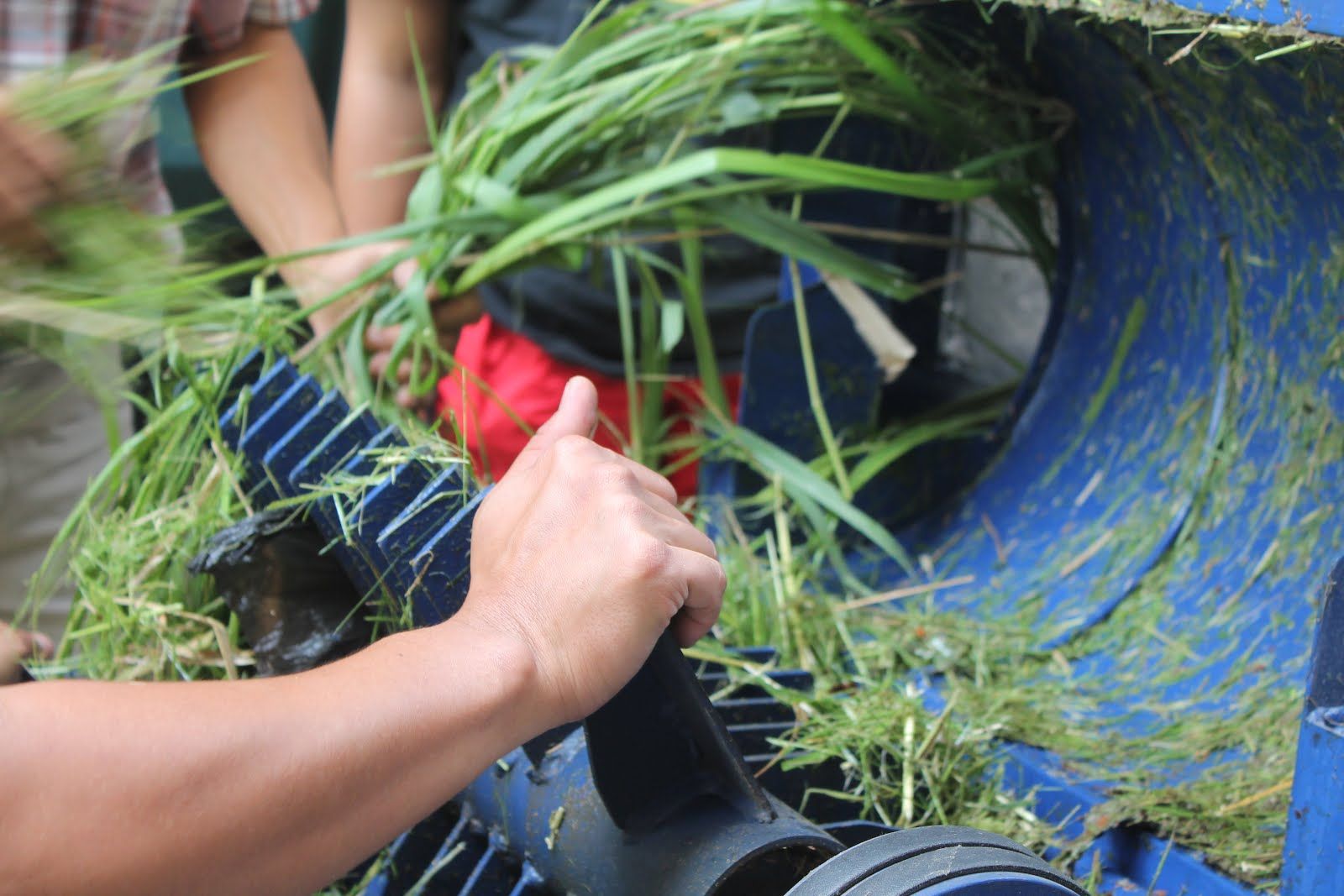 Home Composting, Metode Praktis Atasi Tumpukan Sampah di Rumah