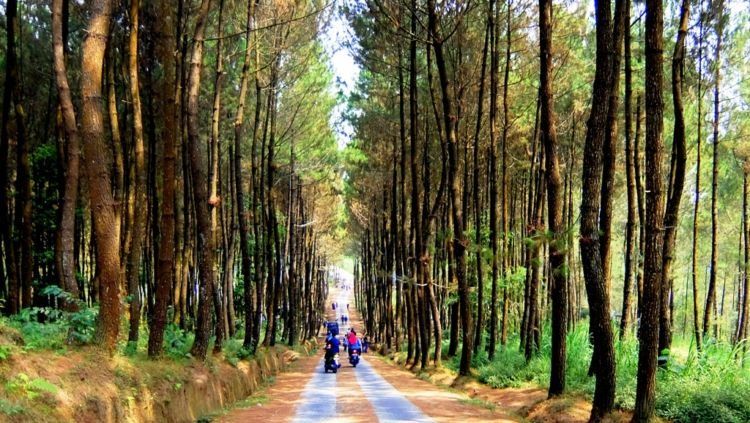 Jalan setapaknya serasa lagi di luar negeri