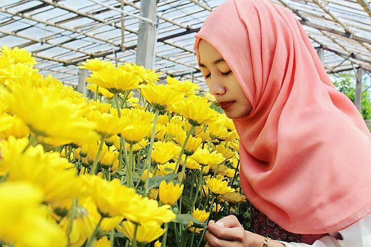 Tempat Baru yang Lagi Nge-hits di Semarang. Taman Bunga Indah Bernama Setiya Aji Flower Farm!