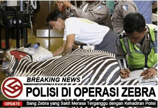 17 Meme Kocak Operasi Zebra, Mulai yang Wajar Sampai Nggak Masuk Akal!