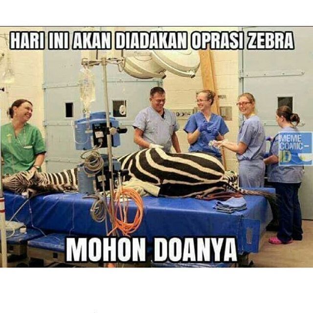 Operasi Zebra beneran