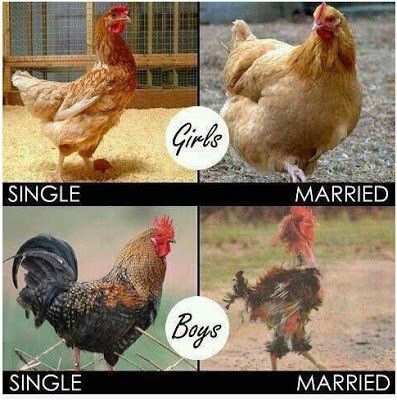 Single married?