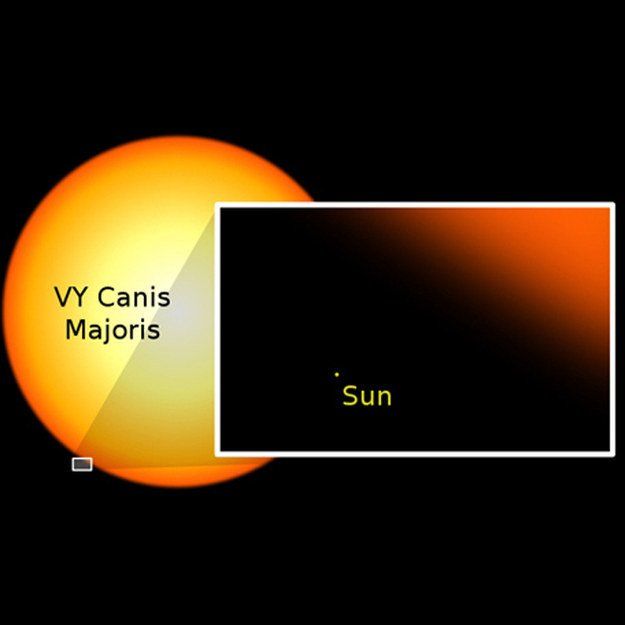 Matahari vs VY Canis Majoris